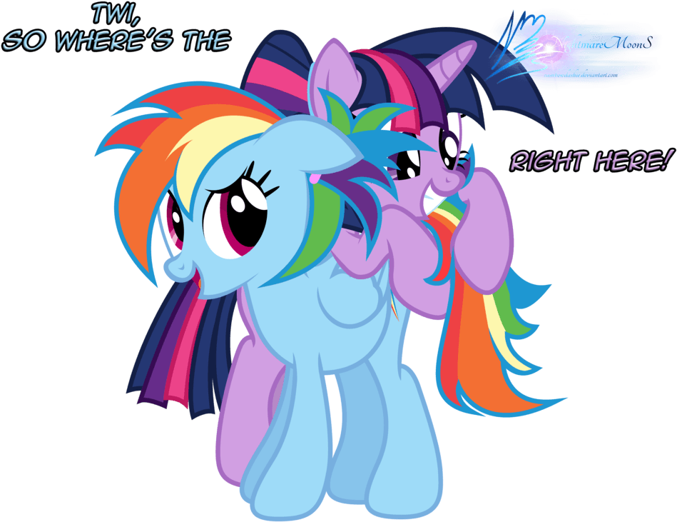 Rainbow Dashand Twilight Sparkle Friendship PNG Image