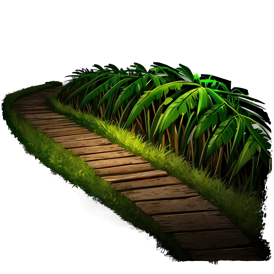 Rainforest Pathway Png Hsn PNG Image