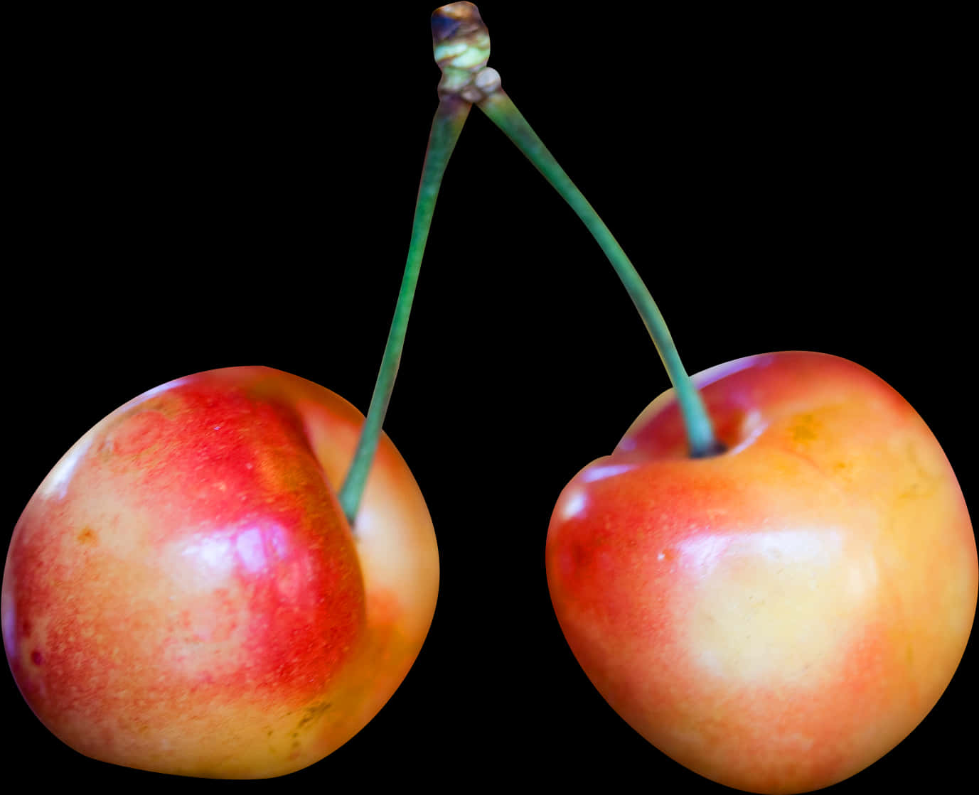 Rainier Cherries Black Background PNG Image