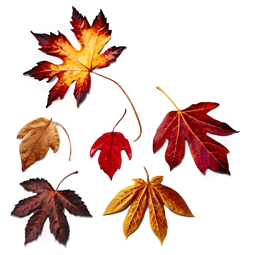 Rainy Autumn Leaves Png Hel82 PNG Image