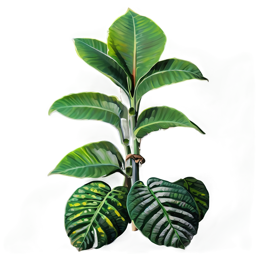 Rare African Plant Species Png 77 PNG Image