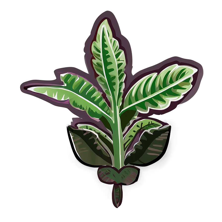 Rare Plant Png 32 PNG Image