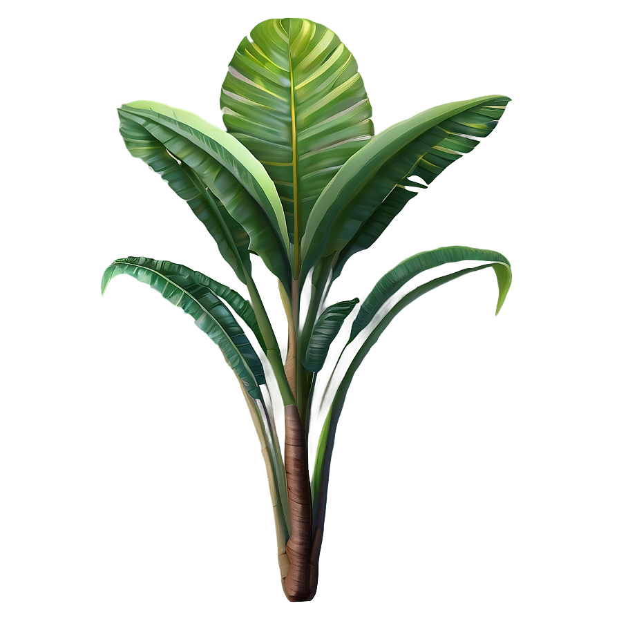 Rare Tropical Plant Png Qrm74 PNG Image