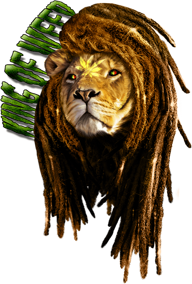 Rasta Lion Artwork PNG Image