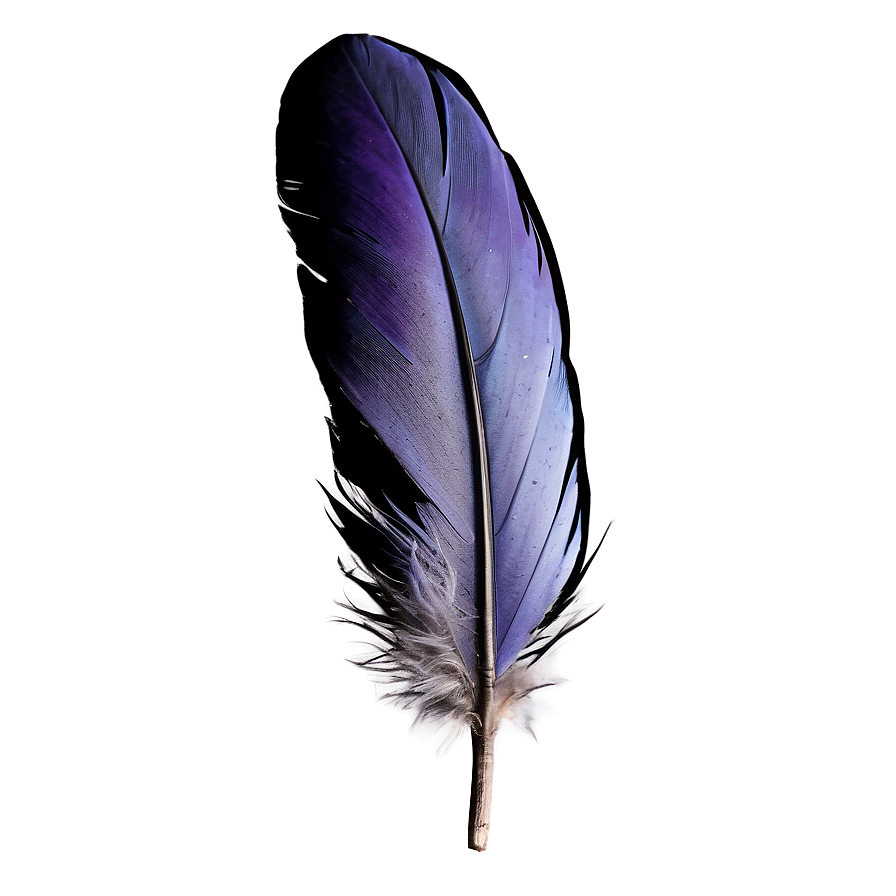 Raven Feather Close-up Png Jmj1 PNG Image