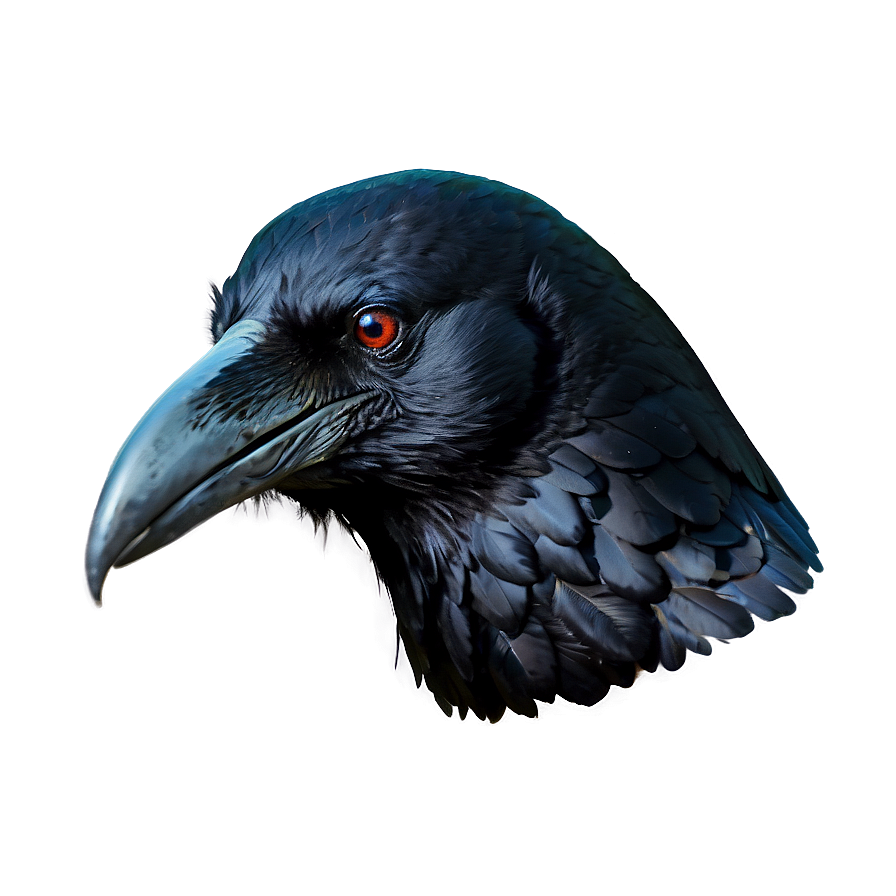 Raven Head Png Ywh85 PNG Image