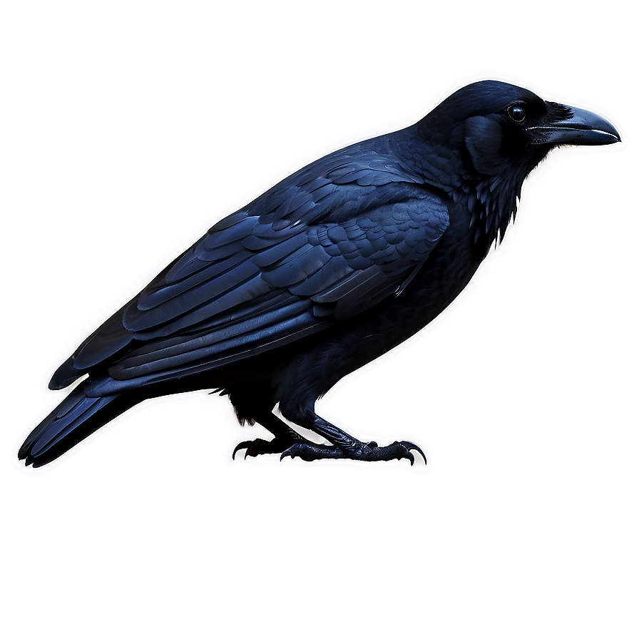 Raven In The Night Png Hhh PNG Image