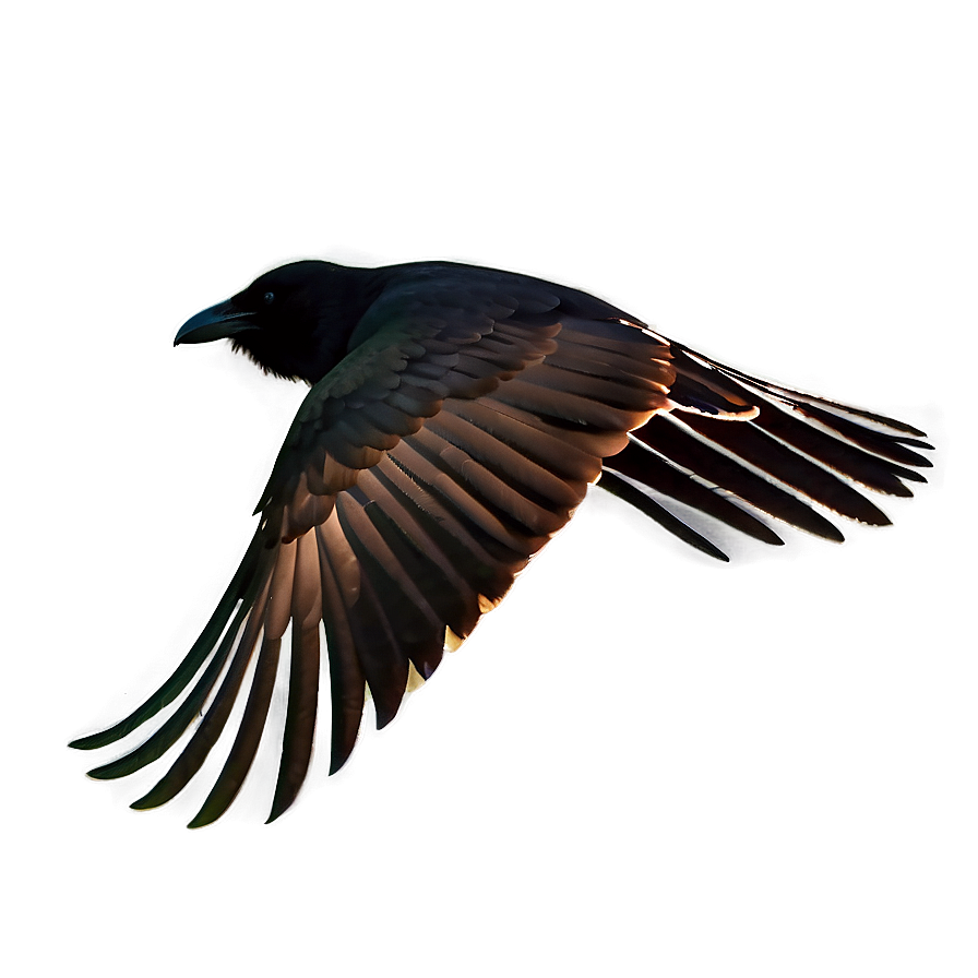 Raven Silhouette In Flight Png 06122024 PNG Image