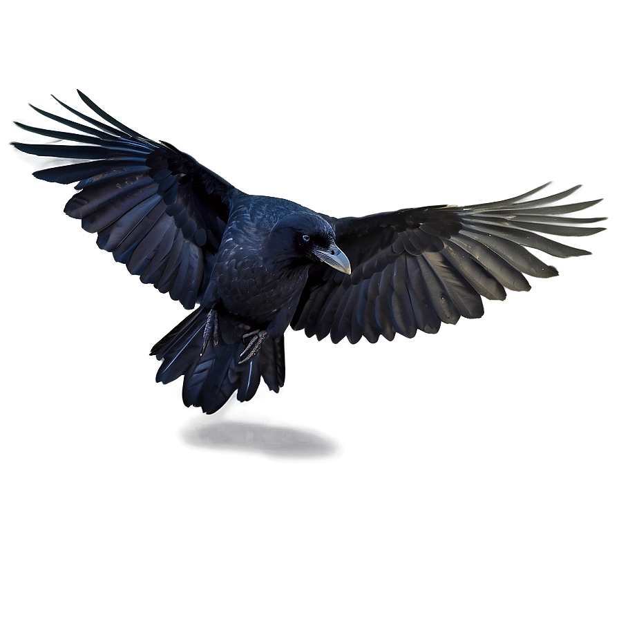 Raven With Open Wings Png Jfe PNG Image