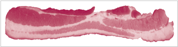 Raw Bacon Strip PNG Image