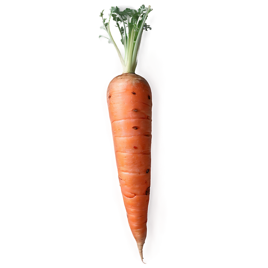 Raw Carrot Png 11 PNG Image