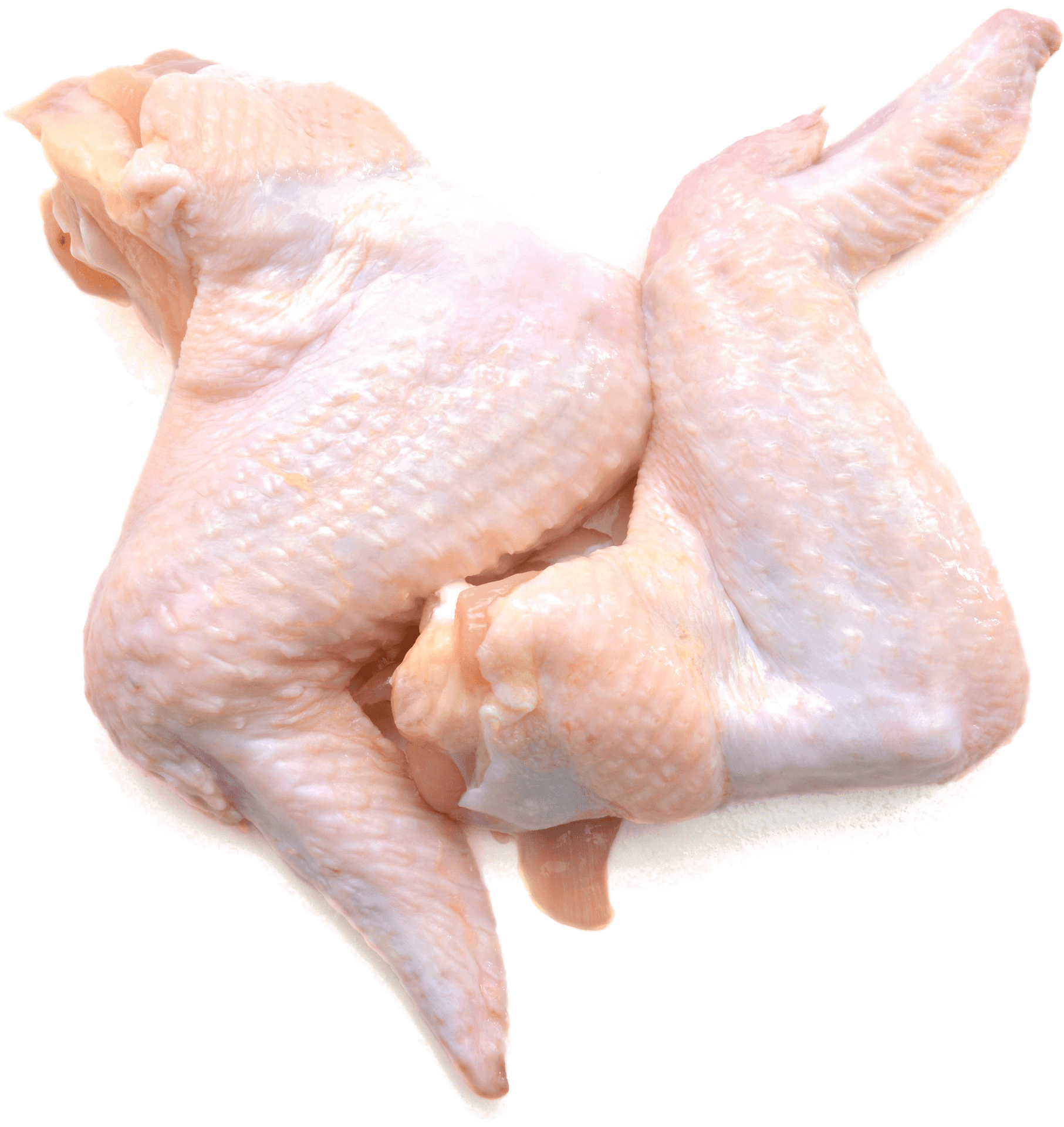 Raw Chicken Wings Isolated.png PNG Image