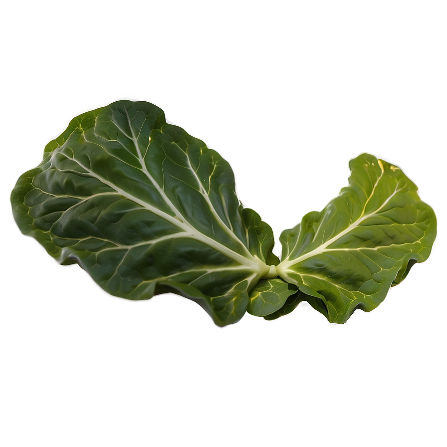 Raw Collard Greens Png 37 PNG Image