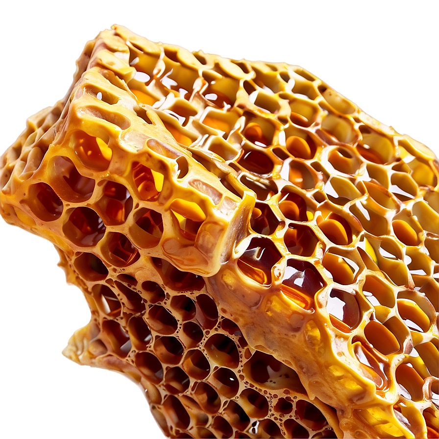 Real Honeycomb Image Png 05232024 PNG Image