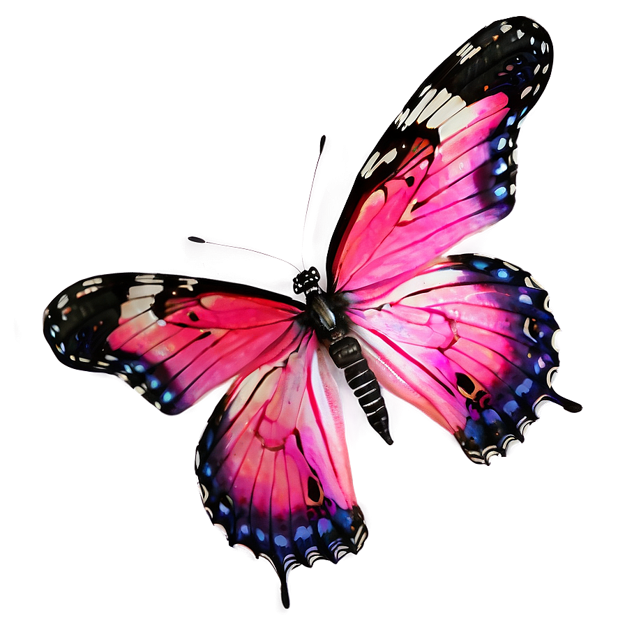 Real Pink Butterfly A PNG Image