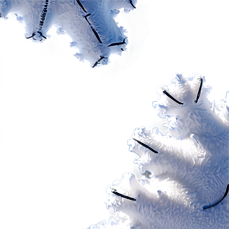 Real Snow Transparent Png Elg85 PNG Image