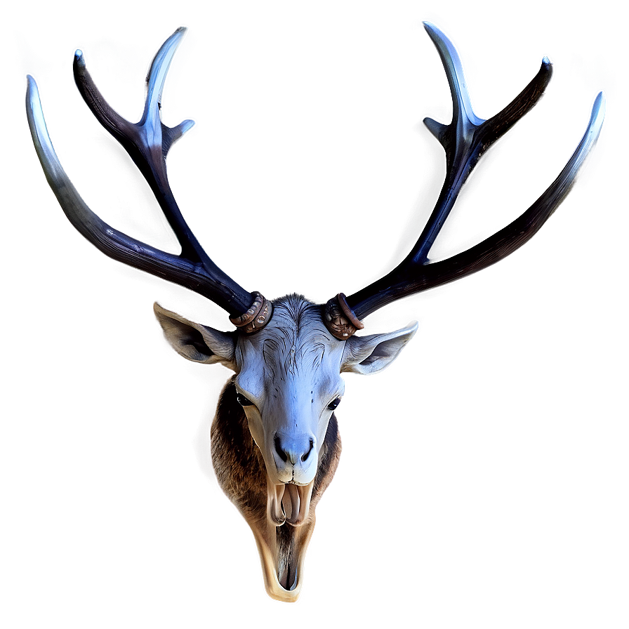 Realistic Antler Graphic Png 06212024 PNG Image