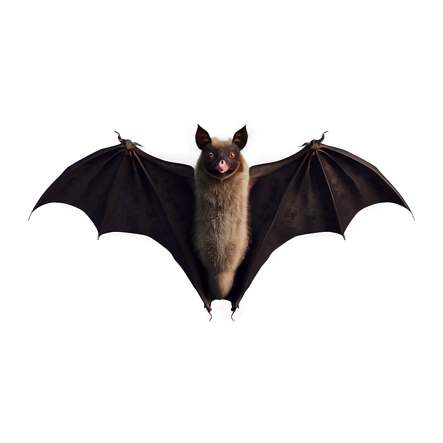 Realistic Bats Illustration Png 05232024 PNG Image