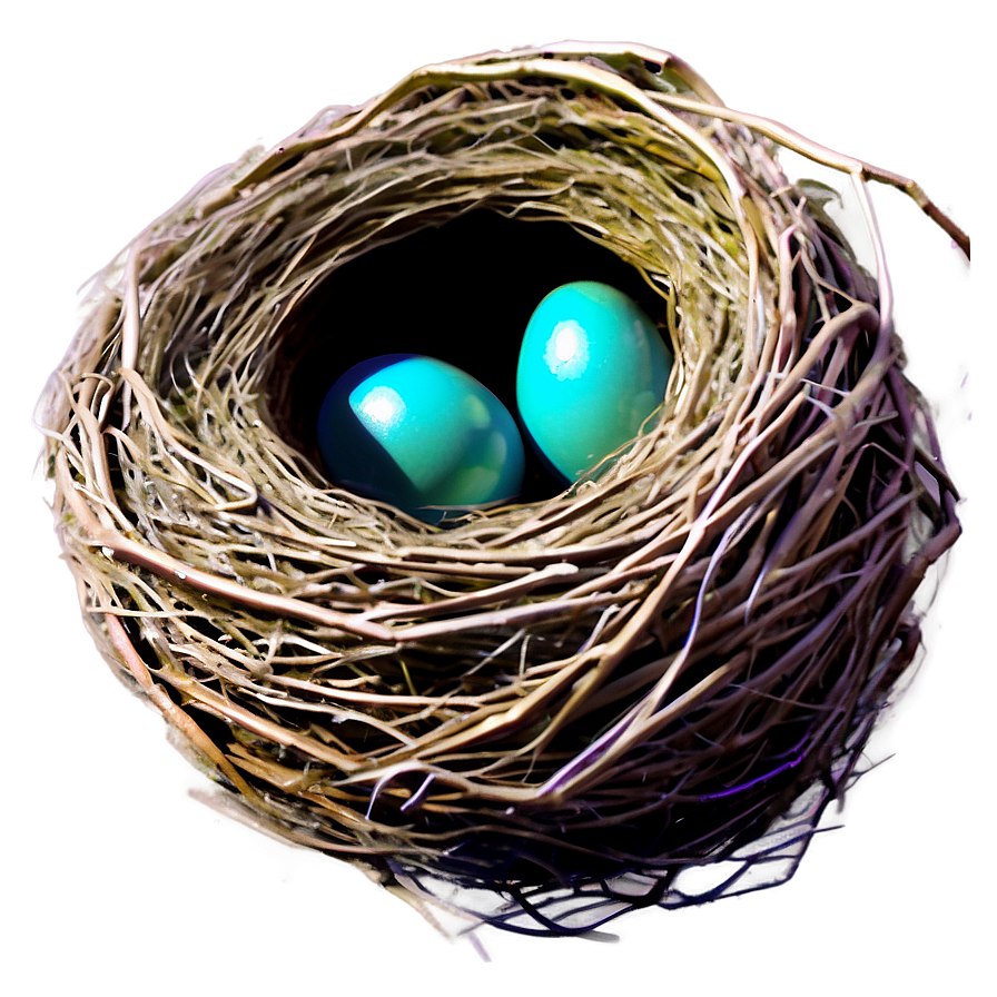 Realistic Bird Nest Png Nvl PNG Image