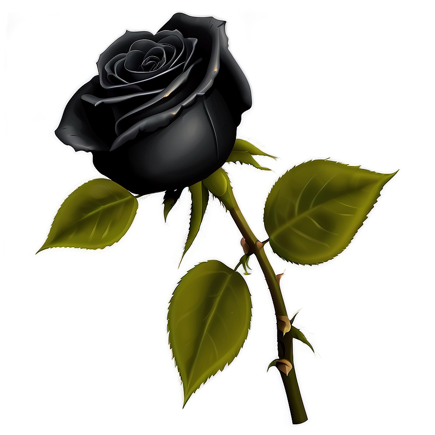 Realistic Black Roses Png Mbn PNG Image