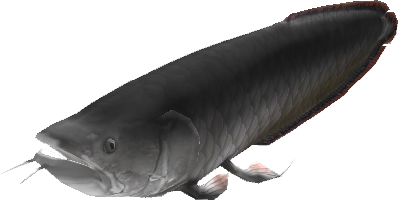 Realistic Catfish Illustration PNG Image