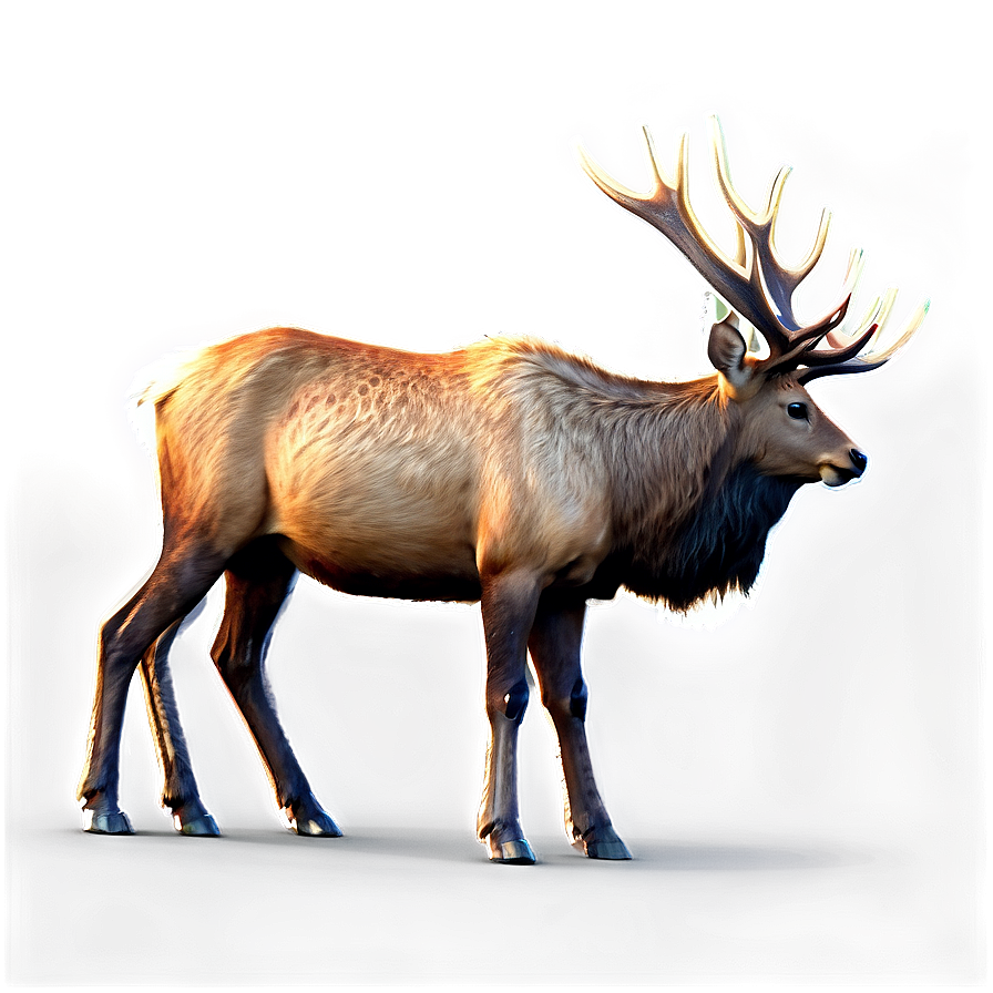 Realistic Elk Png Gum PNG Image