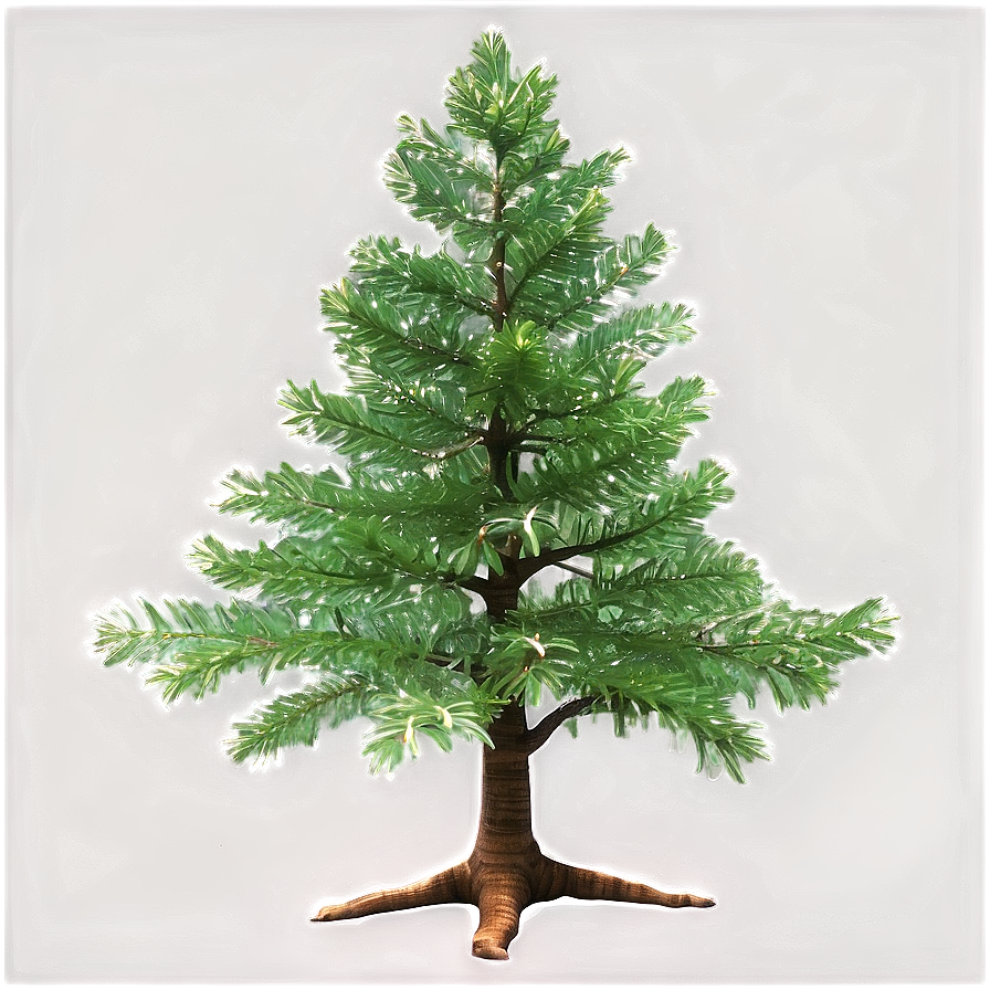 Realistic Evergreen Tree Png Miy PNG Image