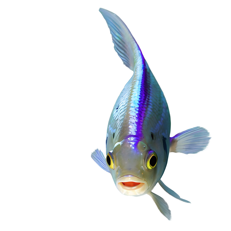 Realistic Fish Transparent Png 05262024 PNG Image