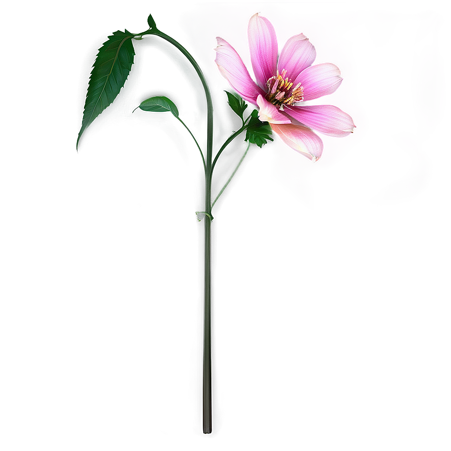 Realistic Flower Stem Png Tdh PNG Image