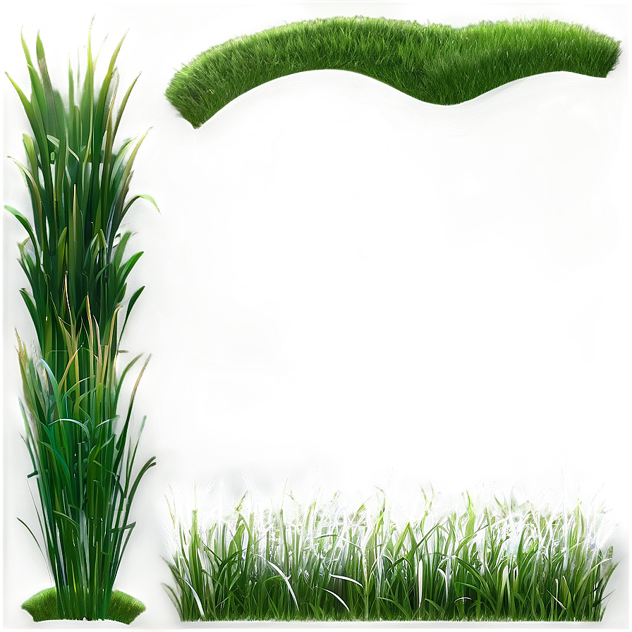 Realistic Green Grass Png 46 PNG Image