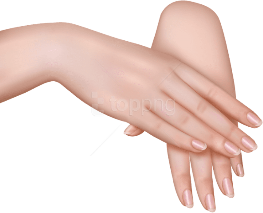 Realistic Hand Clipart PNG Image