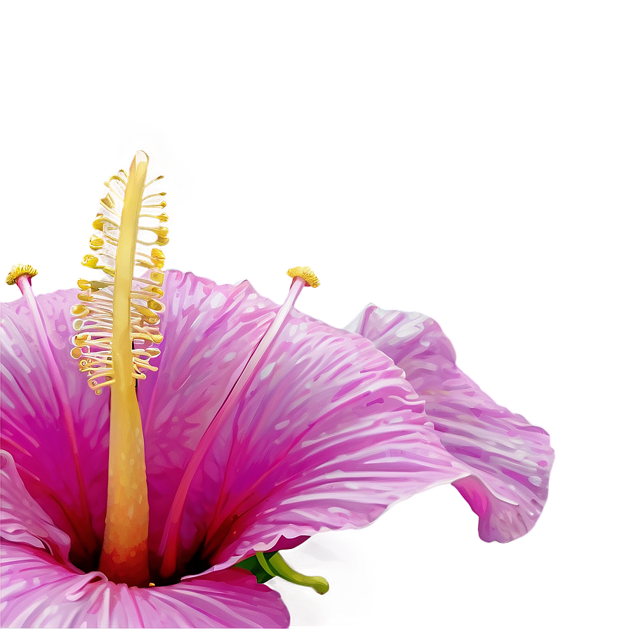 Realistic Hibiscus Png 55 PNG Image