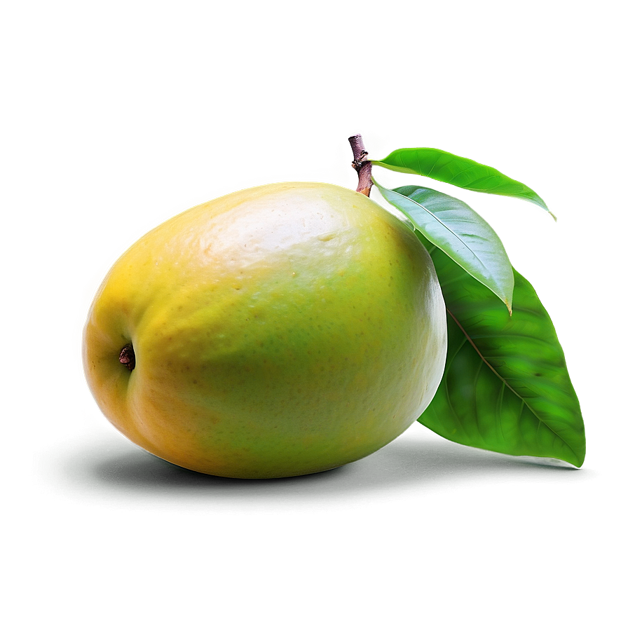 Realistic Mango Png 75 PNG Image