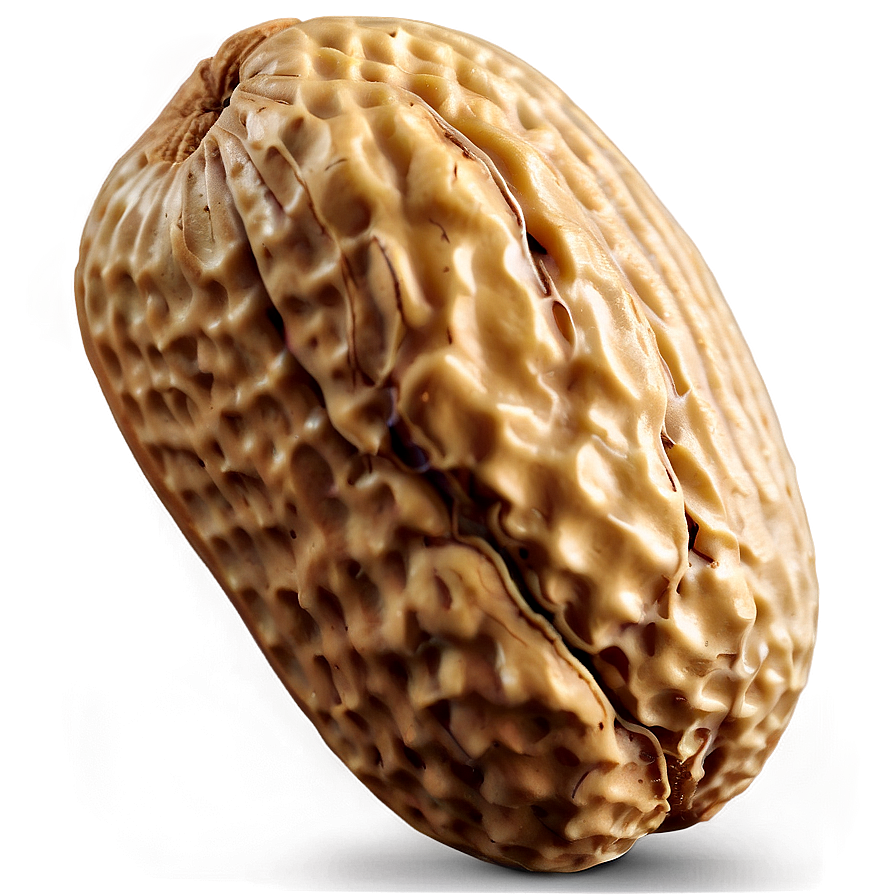 Realistic Peanut Image Png 05252024 PNG Image