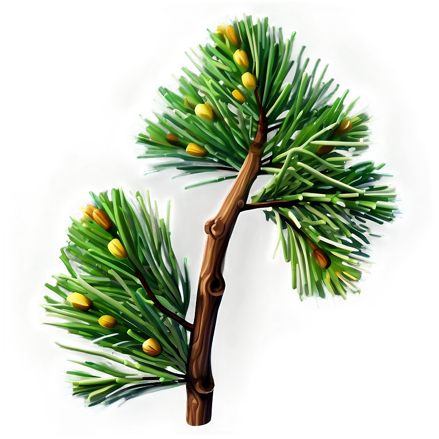 Realistic Pine Branch Png Mfq PNG Image