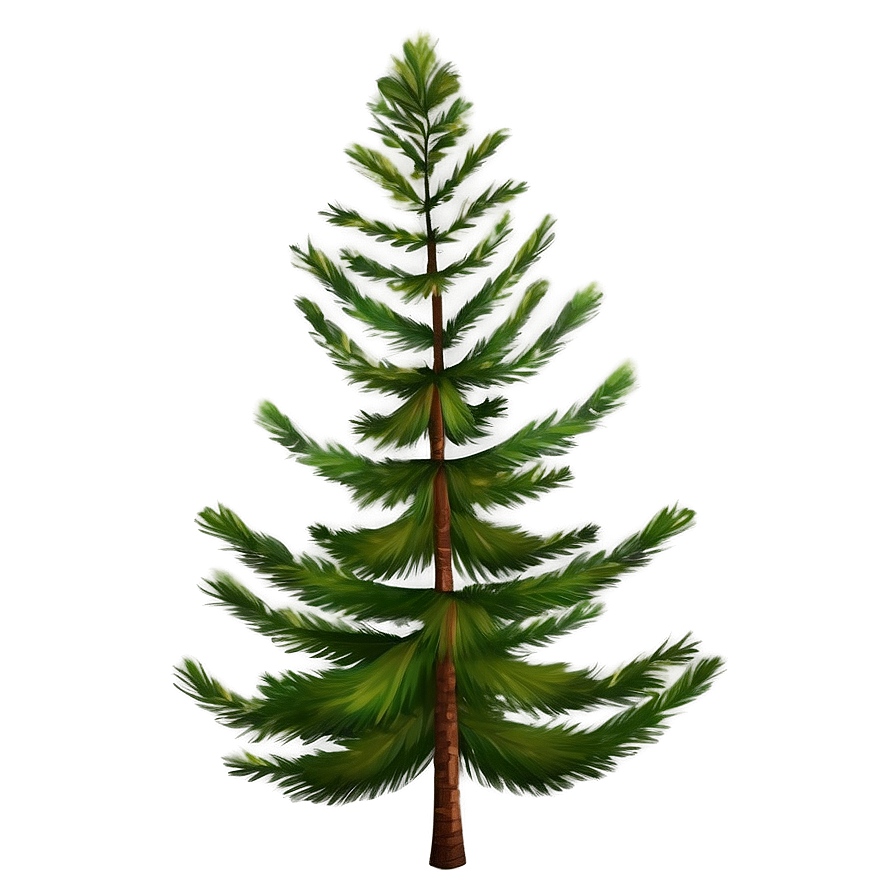 Realistic Pine Trees Png 29 PNG Image