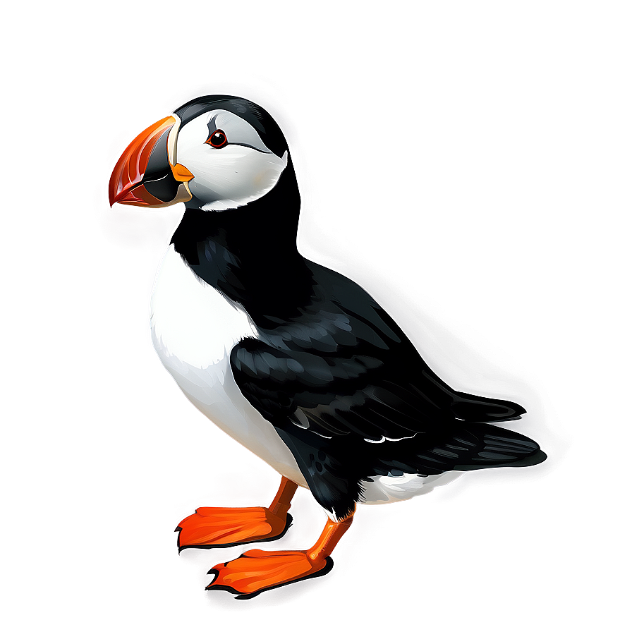 Realistic Puffin Bird Png 95 PNG Image