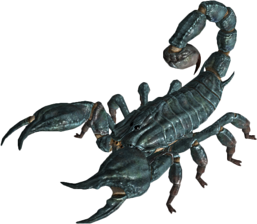 Realistic Scorpion Model PNG Image