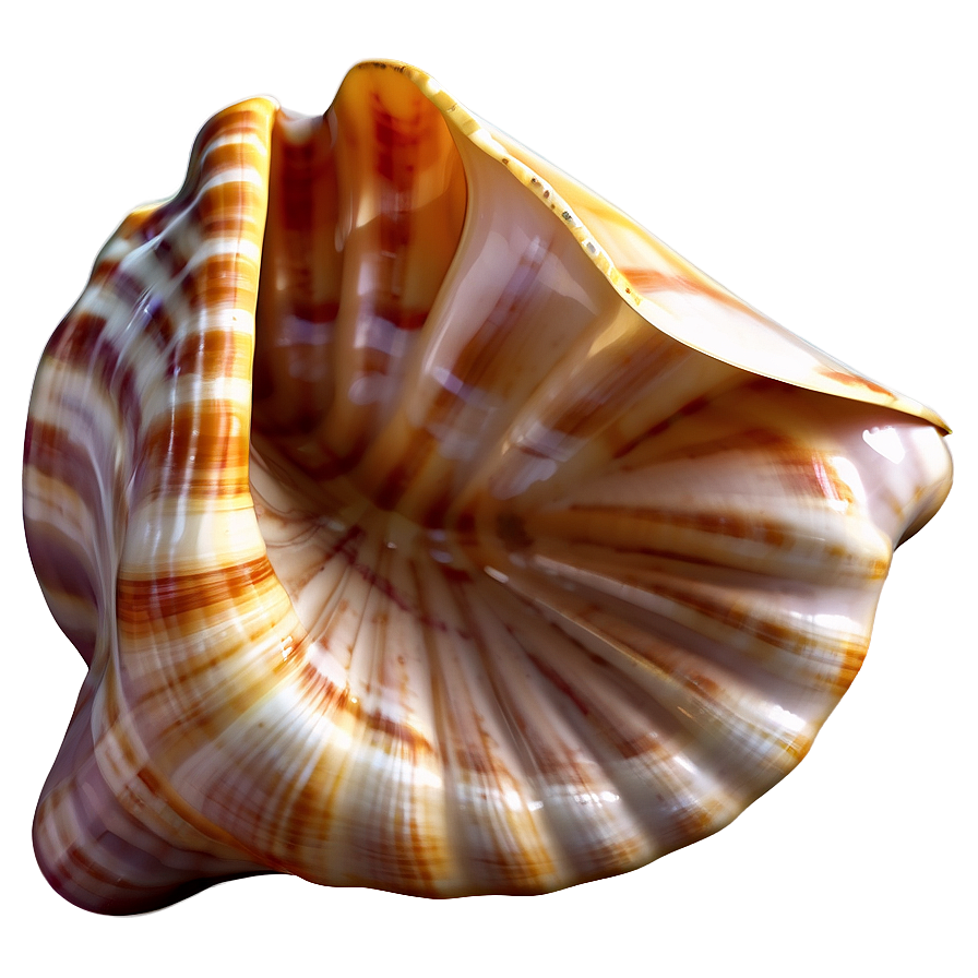 Realistic Seashell Illustration Png Dxl PNG Image