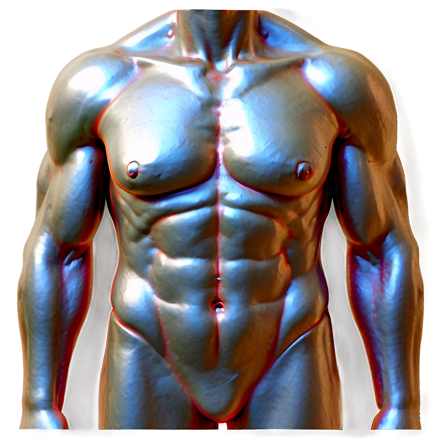 Realistic Torso Sculpture Png 06282024 PNG Image