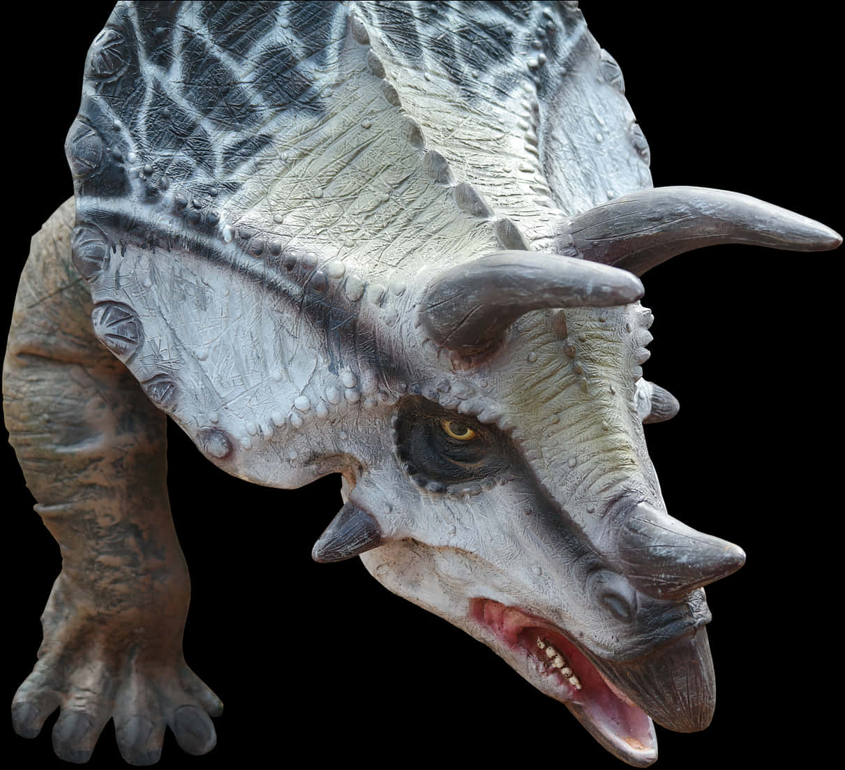 Realistic Triceratops Model PNG Image