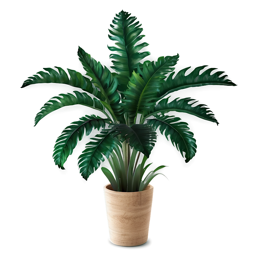 Realistic Tropical Plant Png Kyb PNG Image