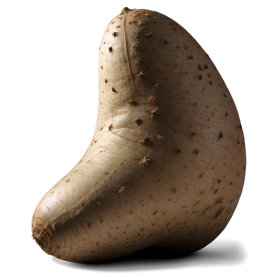 Realistic Tuber Image Png Lqi PNG Image