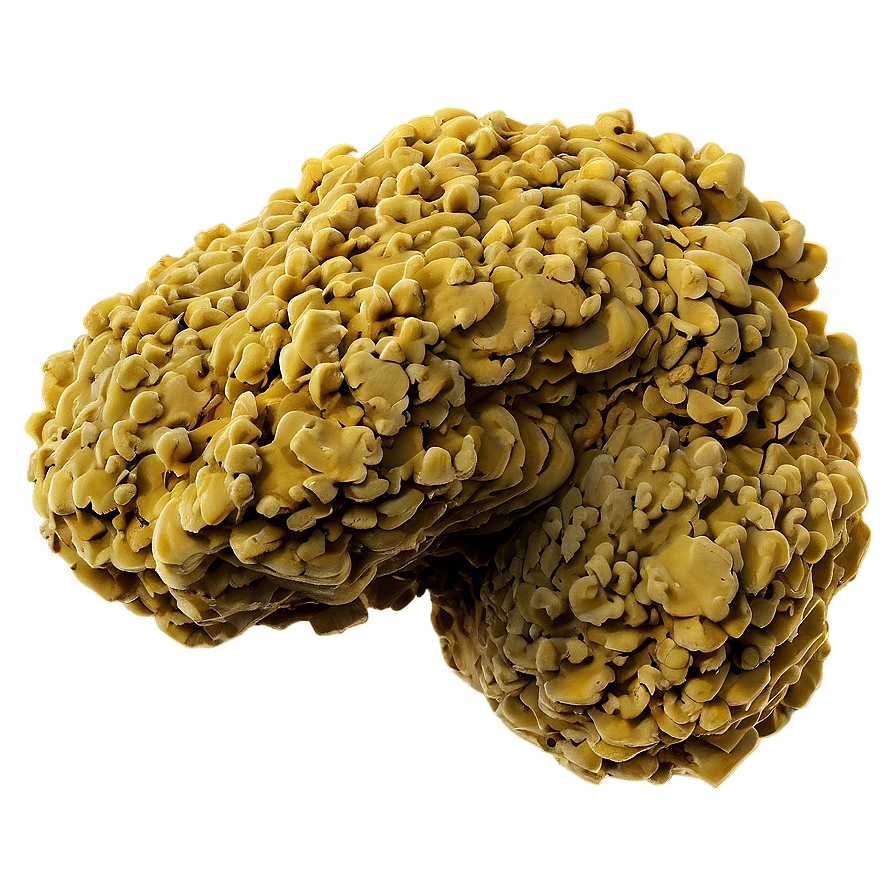 Realistic Vomit Texture Png 44 PNG Image