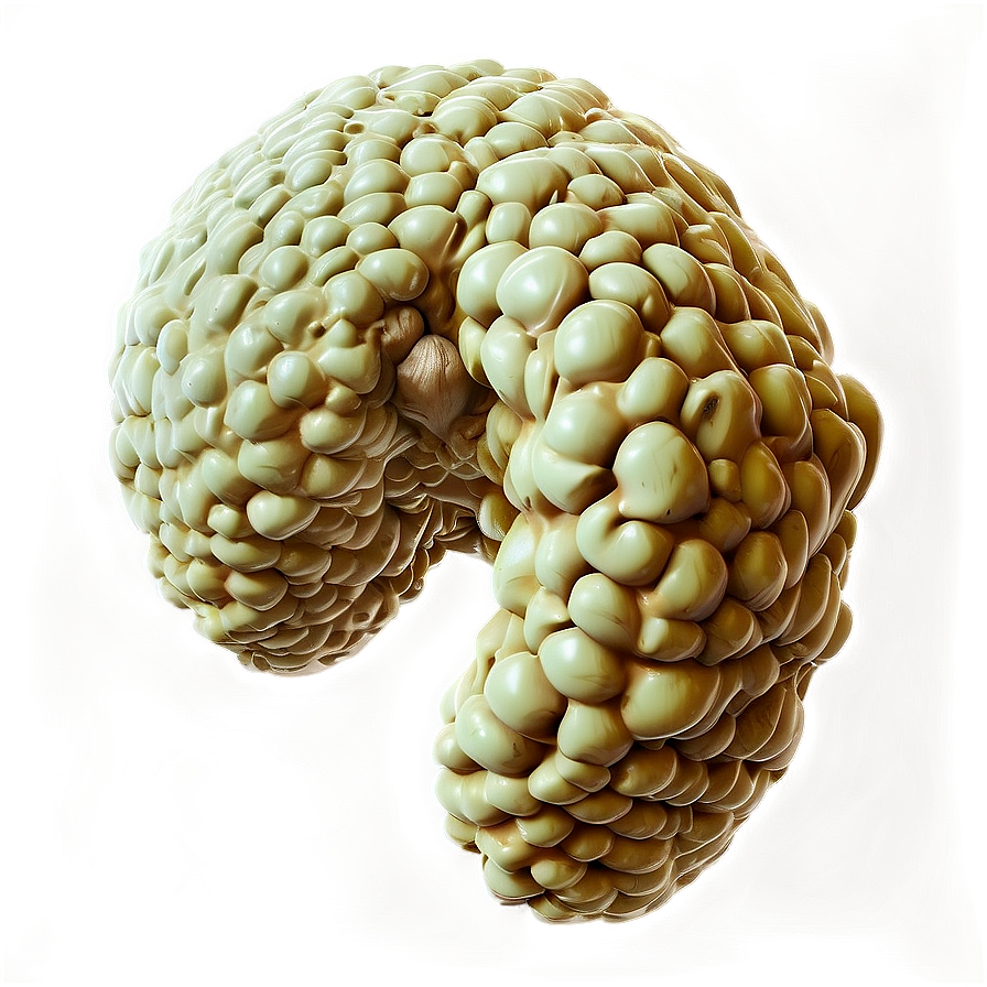 Realistic Vomit Texture Png 98 PNG Image