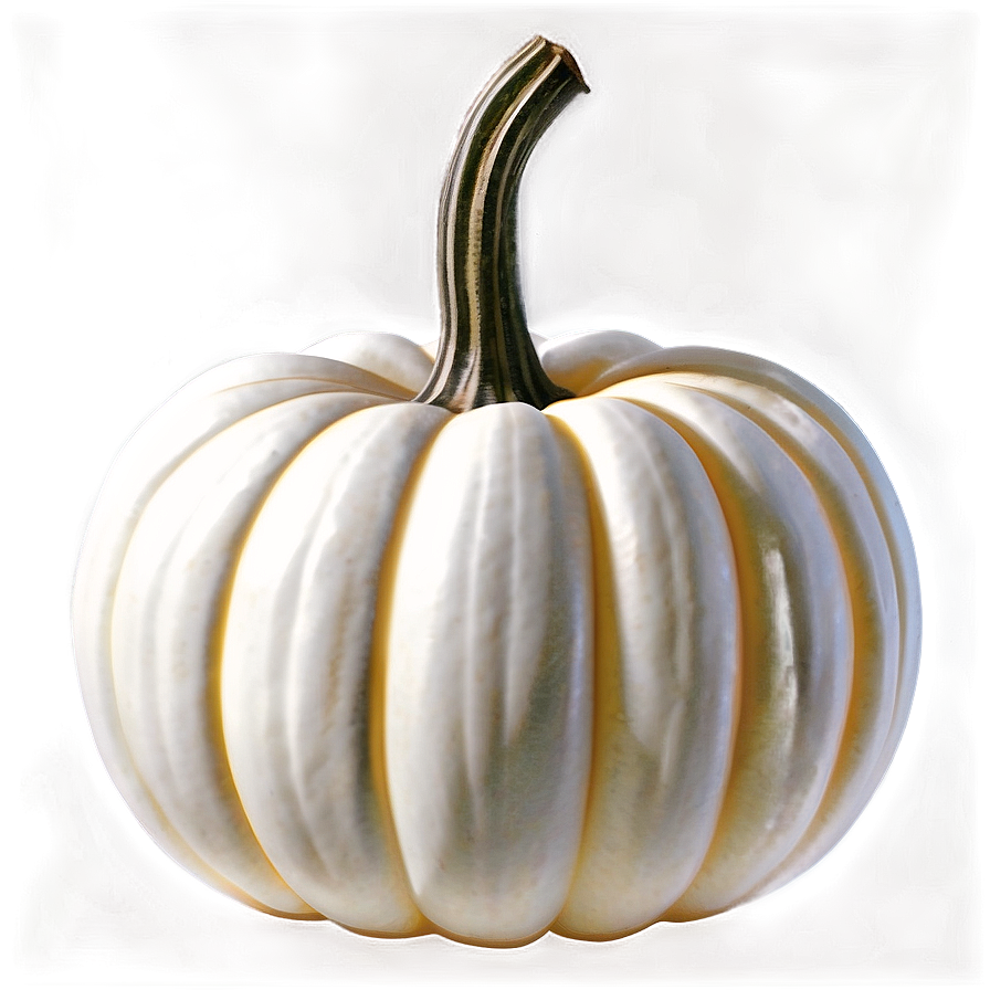 Realistic White Pumpkin Png 22 PNG Image