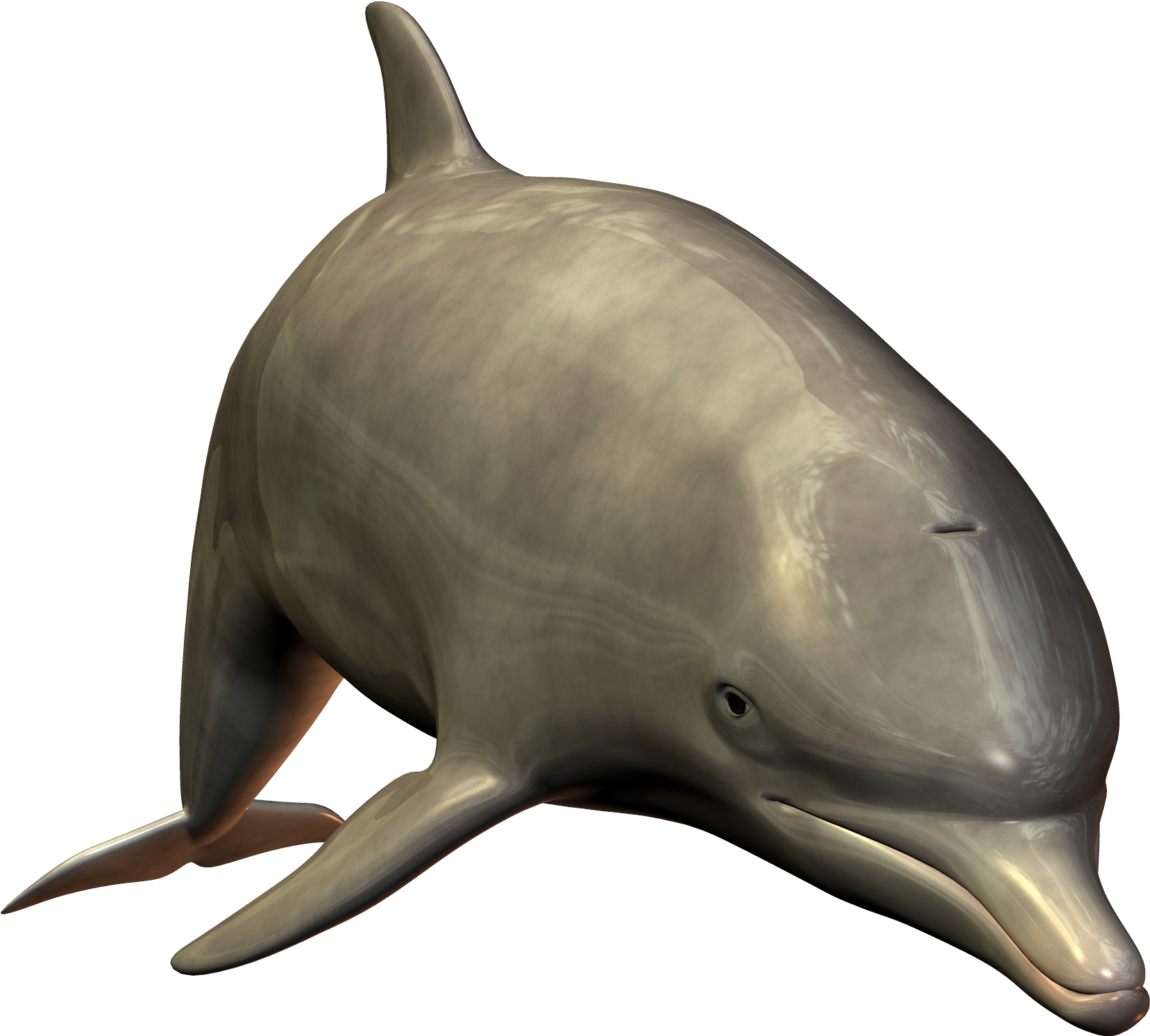 Realistic3 D Dolphin Model PNG Image