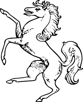 Rearing Blackand White Horse Illustration PNG Image