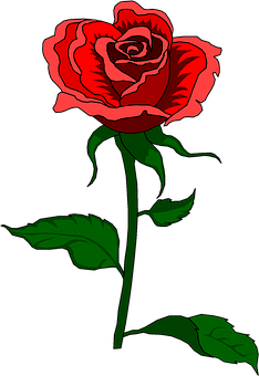 Red And Black Rose Illustration PNG Image