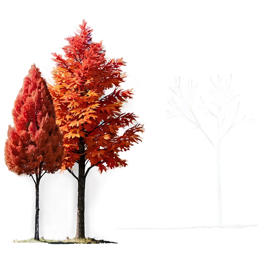 Red And Orange Fall Trees Png Lyq81 PNG Image